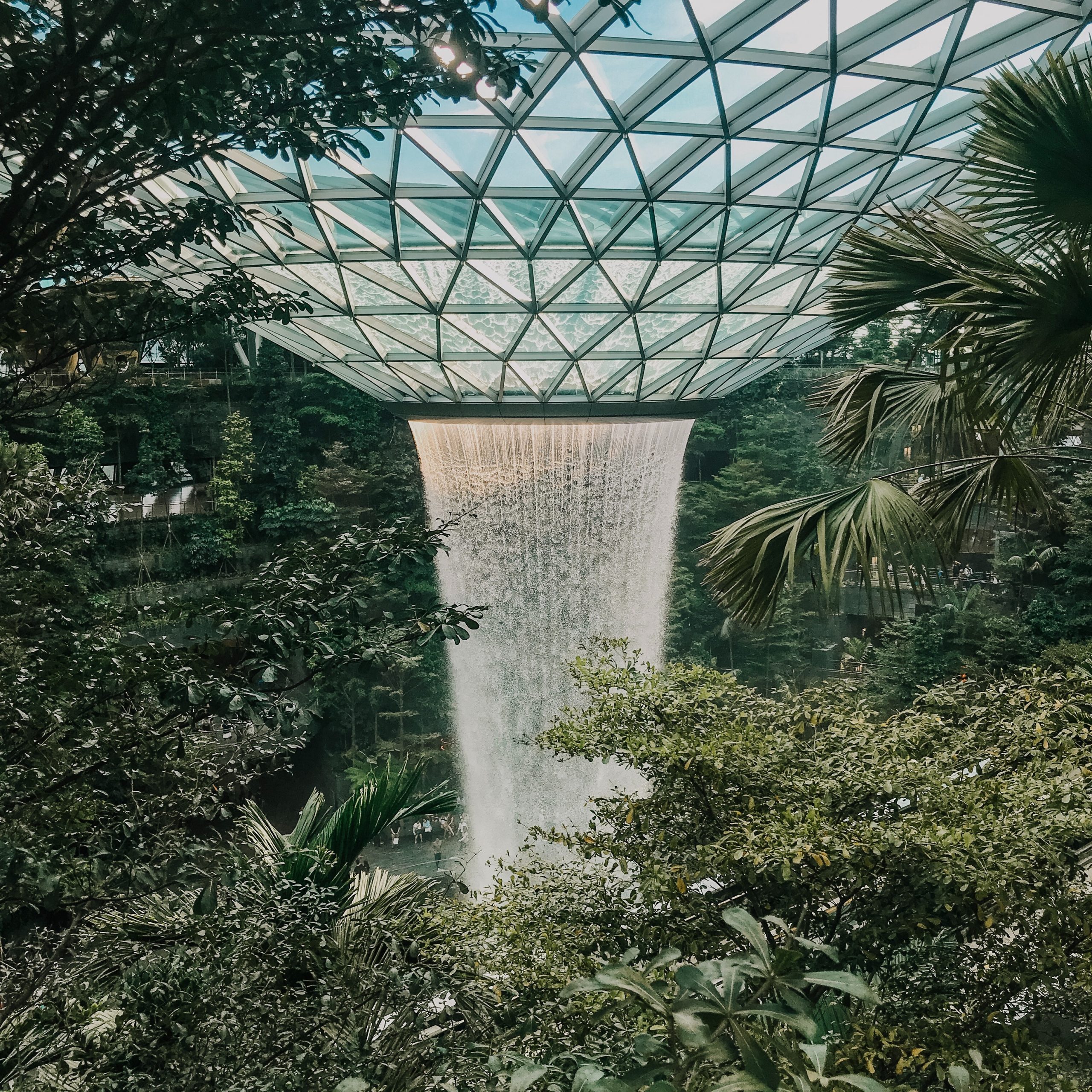Day 5: Exploring Gardens by the Bay and Marina Bay Sands